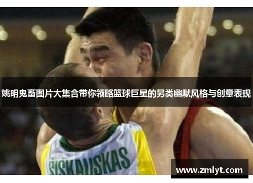 姚明鬼畜图片大集合带你领略篮球巨星的另类幽默风格与创意表现